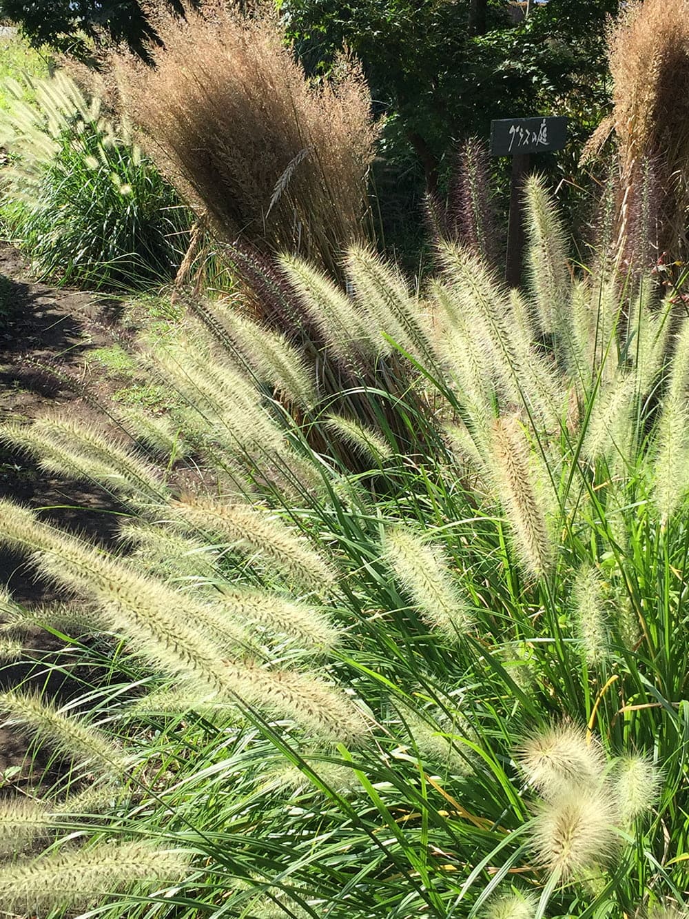 イングリッシュガーデン南阿蘇